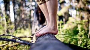 Balancing on a fallen tree. Don't Fear the Wobble